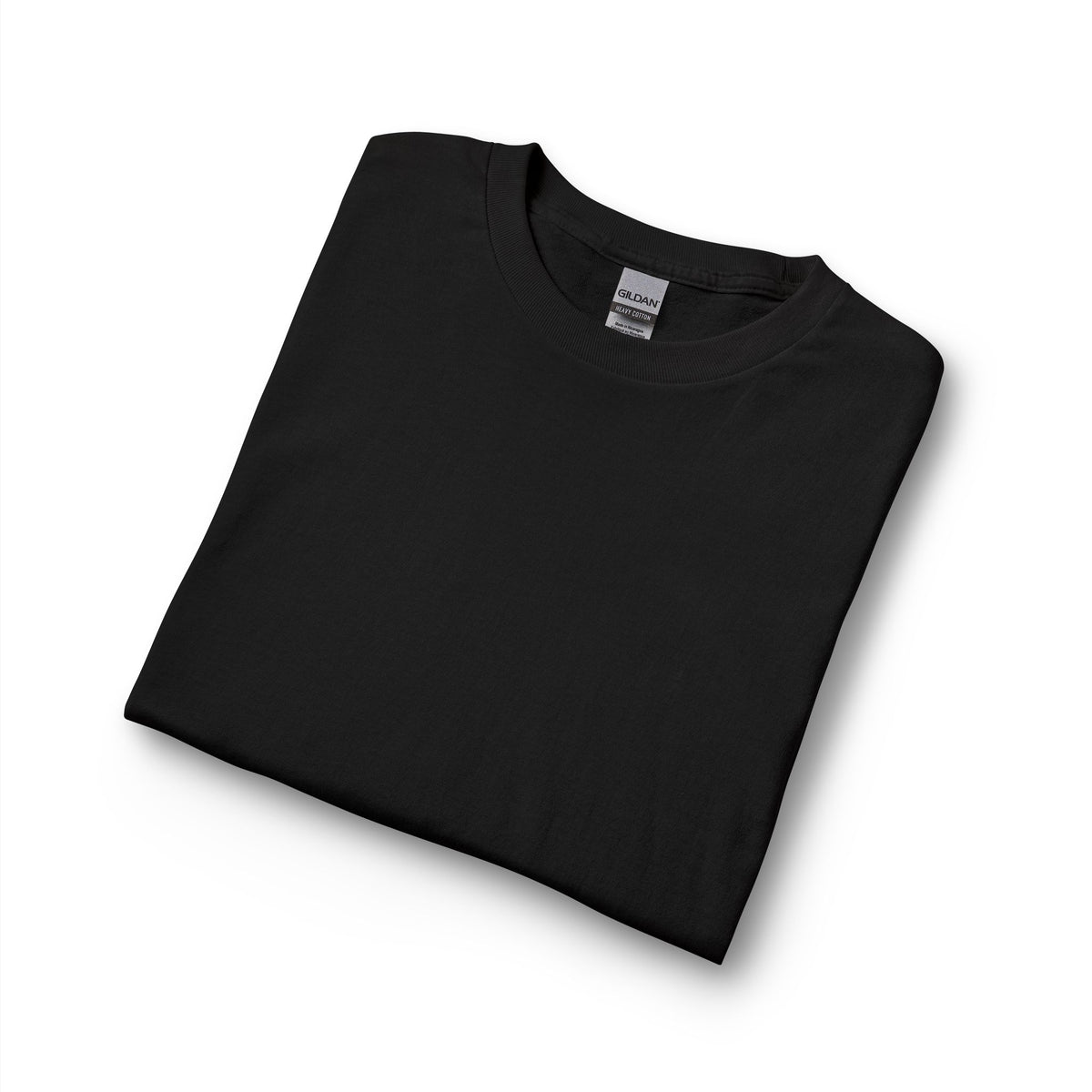 Aureum Noir Statue Long Sleeve- Back Logo