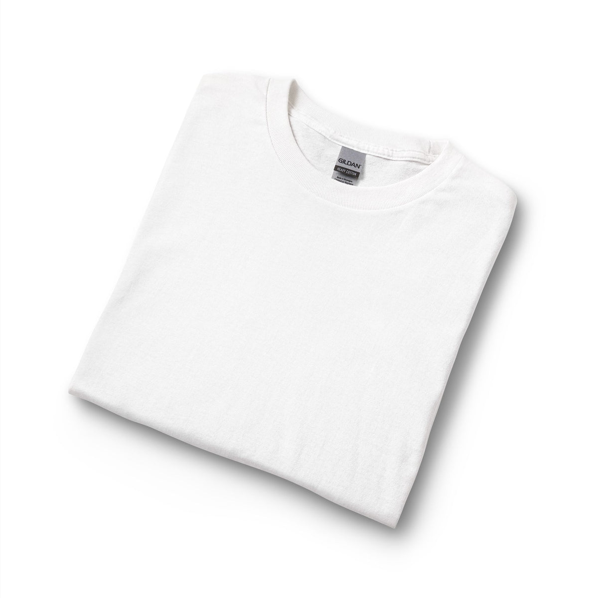 Aureum Noir Statue Long Sleeve- Back Logo